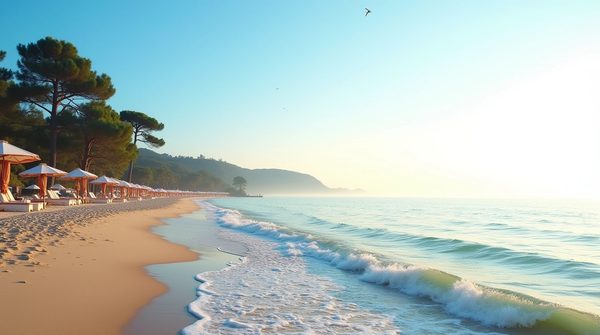 Éveillez vos sens : camping au bord de mer en Vendée